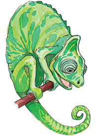 Ještěrka - chameleon postava z knihy Ostrov Socci - Dětská kniha pro děti - čtení pro děti