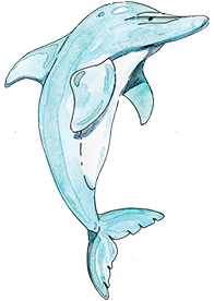Delfín postava z knihy Ostrov Socci - Dětská kniha pro děti - čtení pro děti