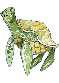 Želva postava z knihy Ostrov Socci - Dětská kniha pro děti - čtení pro děti
